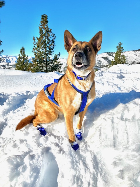 Yuri in Snow