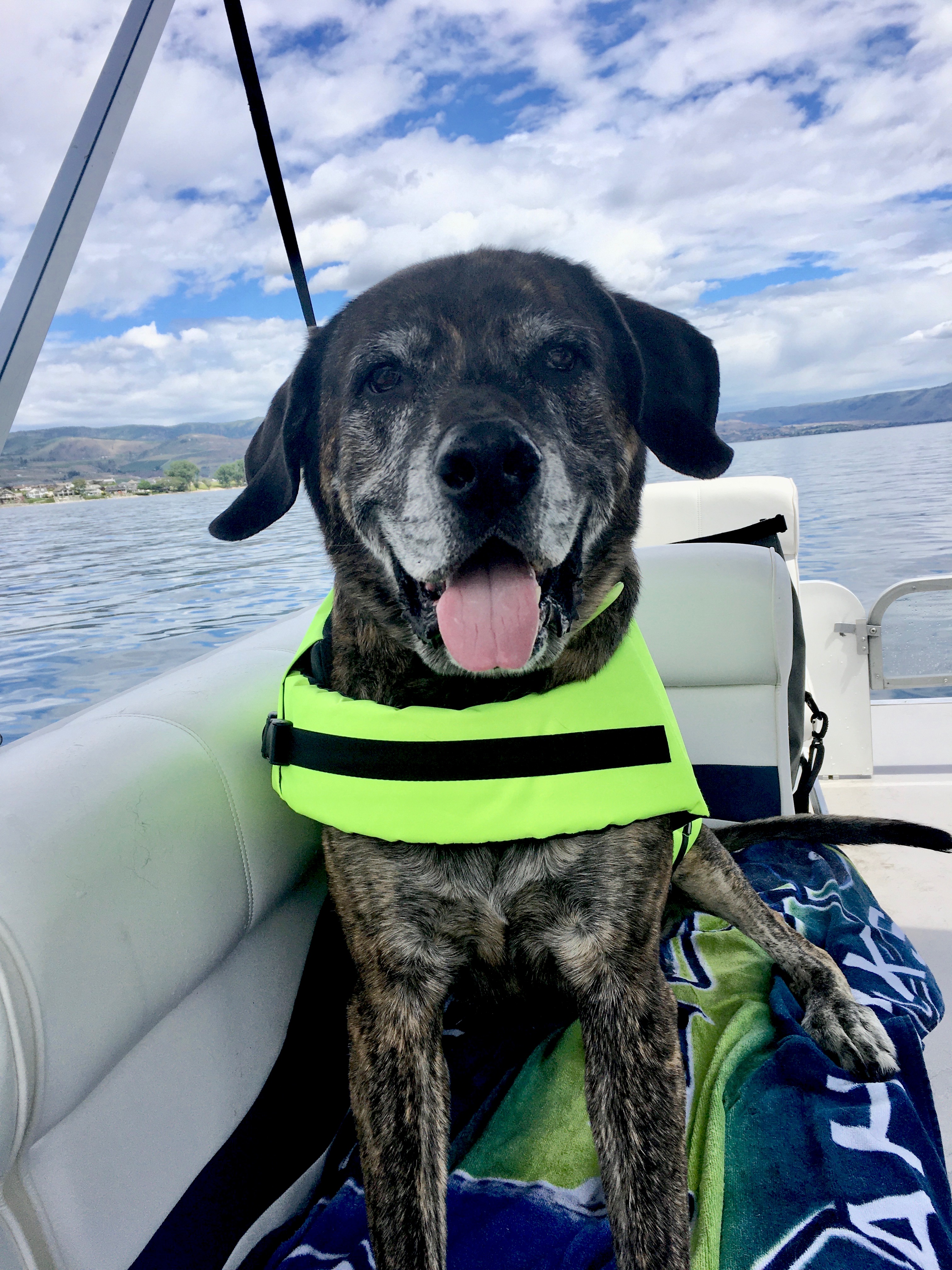 Charlie on Boat