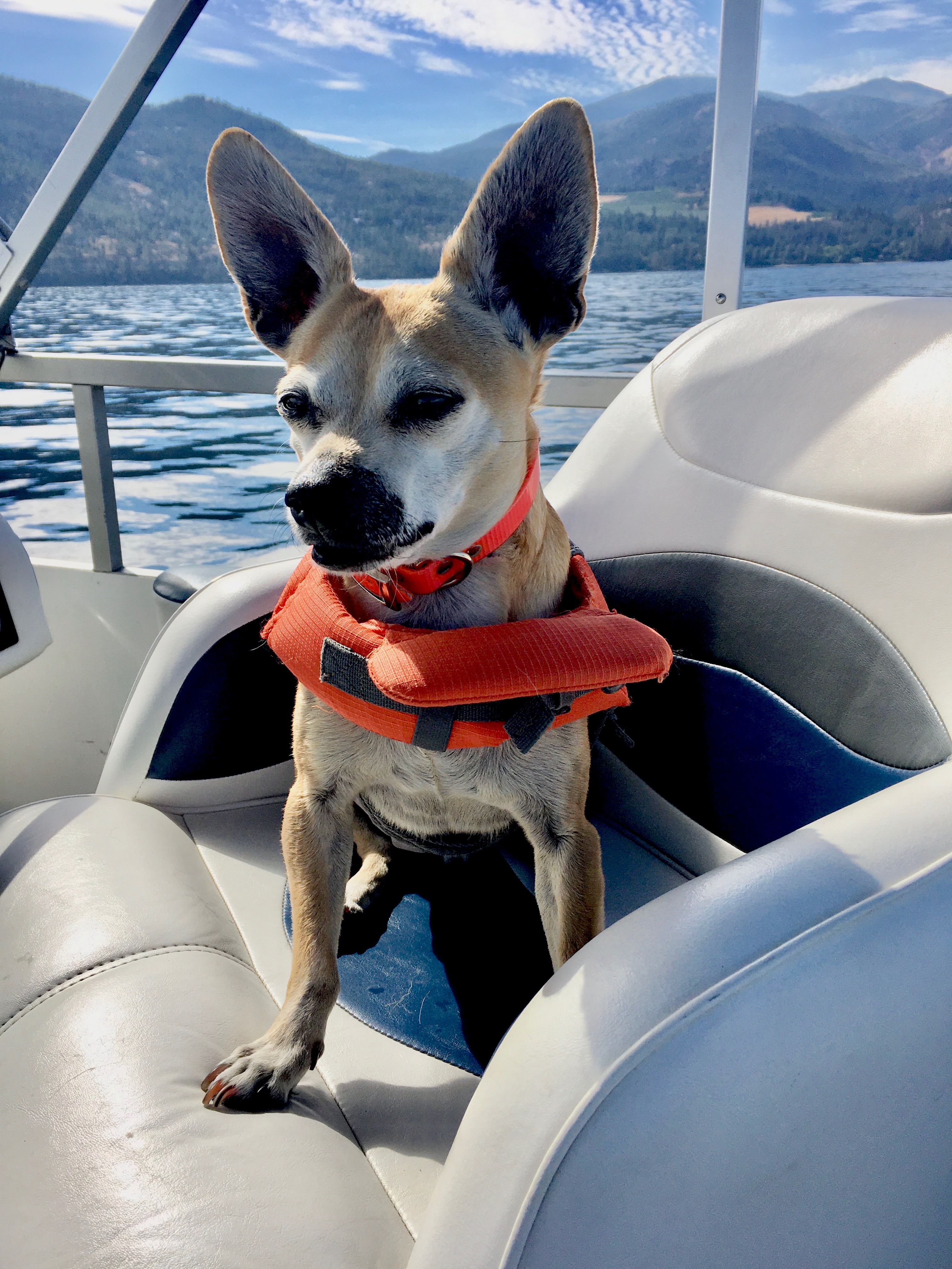 Linus on Boat